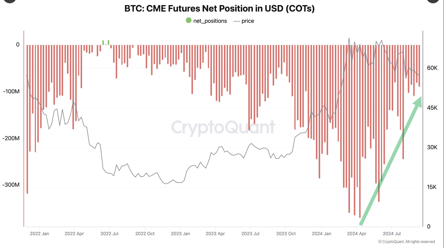 Bitcoin CME Futures Net Position chart 